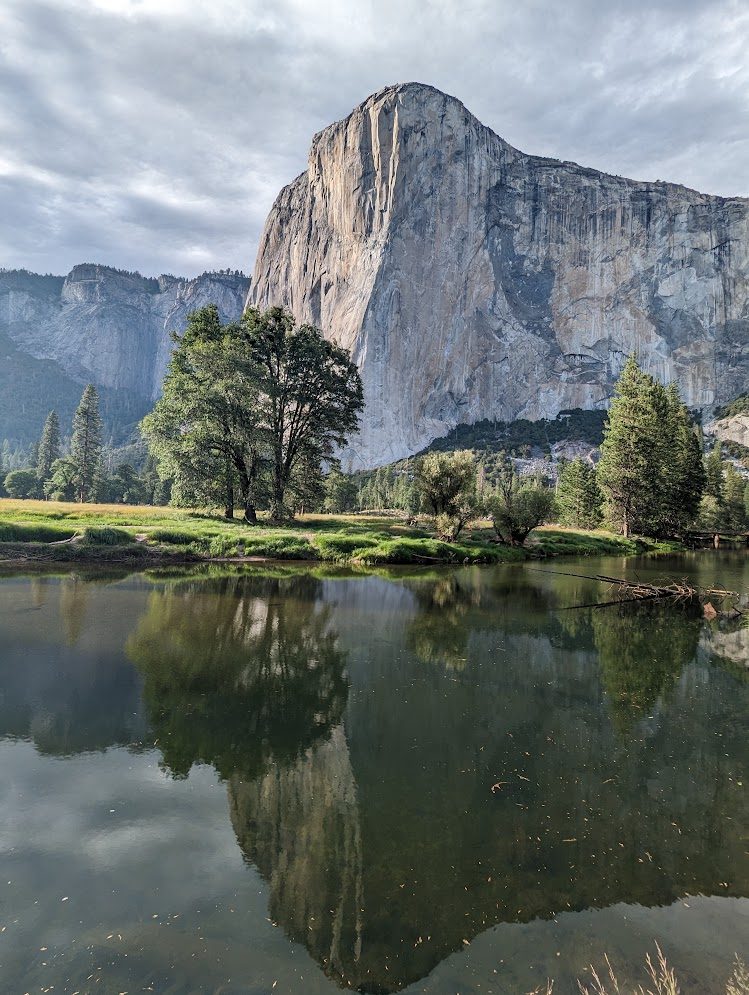 El Capitan reflected in the still water of the Merced River, framed by pines